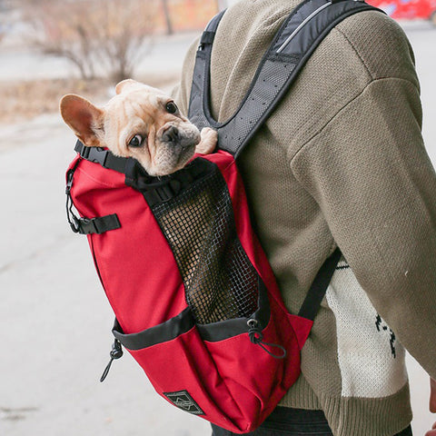 Comfortable Dog Backpack Carrier