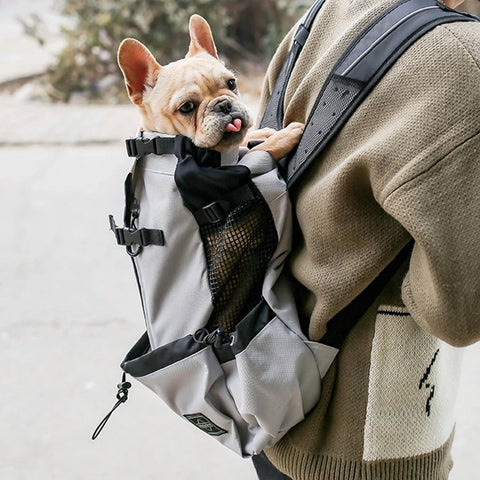 Comfortable Dog Backpack Carrier