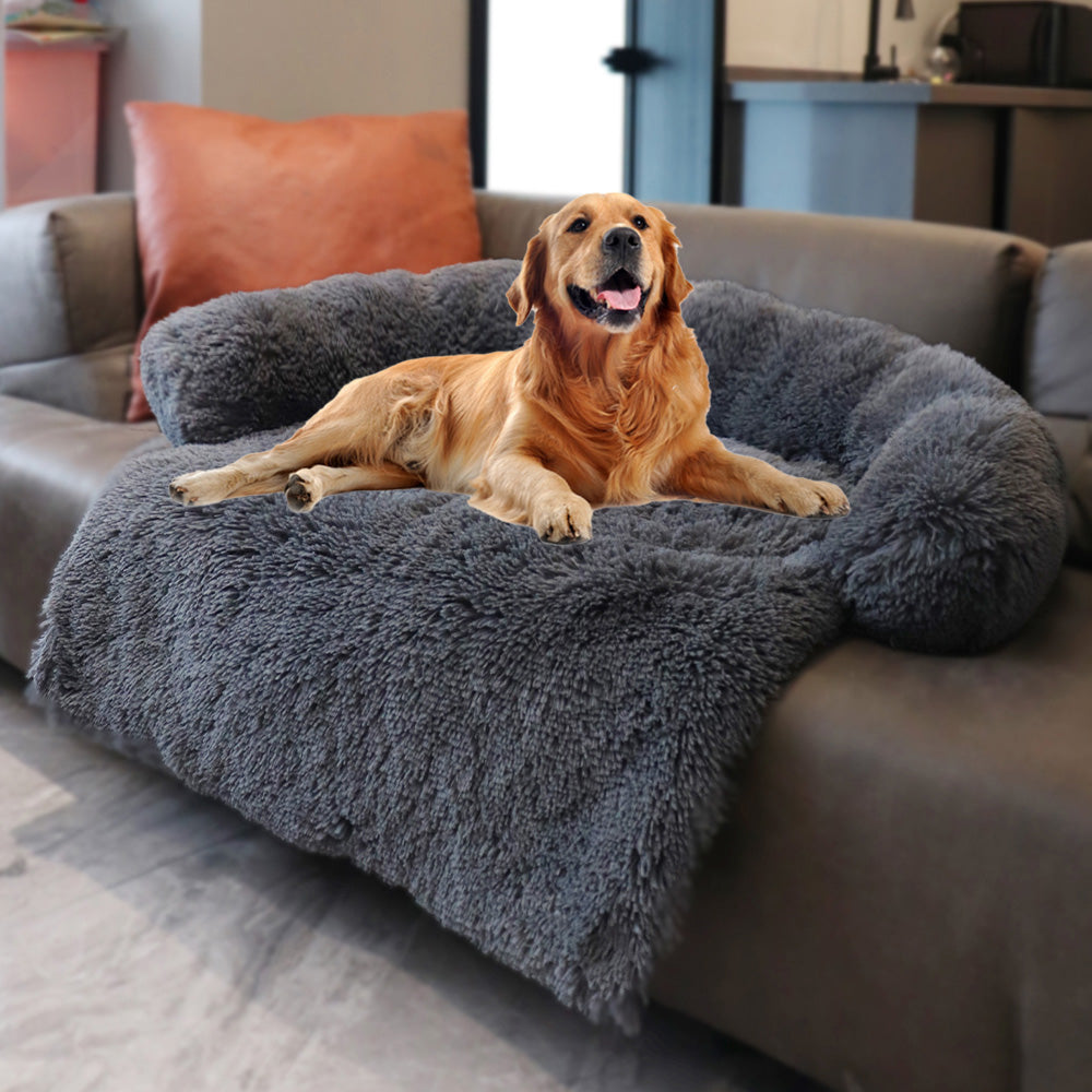dog futon