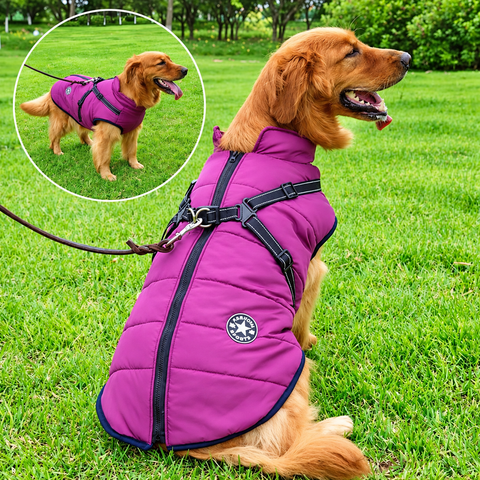 Waterproof Dog Jacket with Built-In Harness