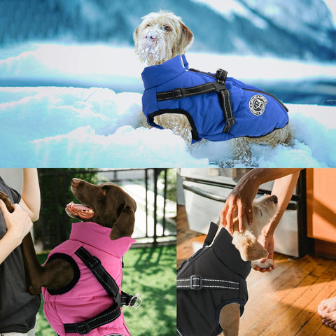 Waterproof Dog Jacket with Built-In Harness