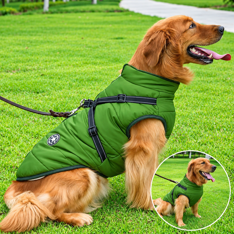 Waterproof Dog Jacket with Built-In Harness
